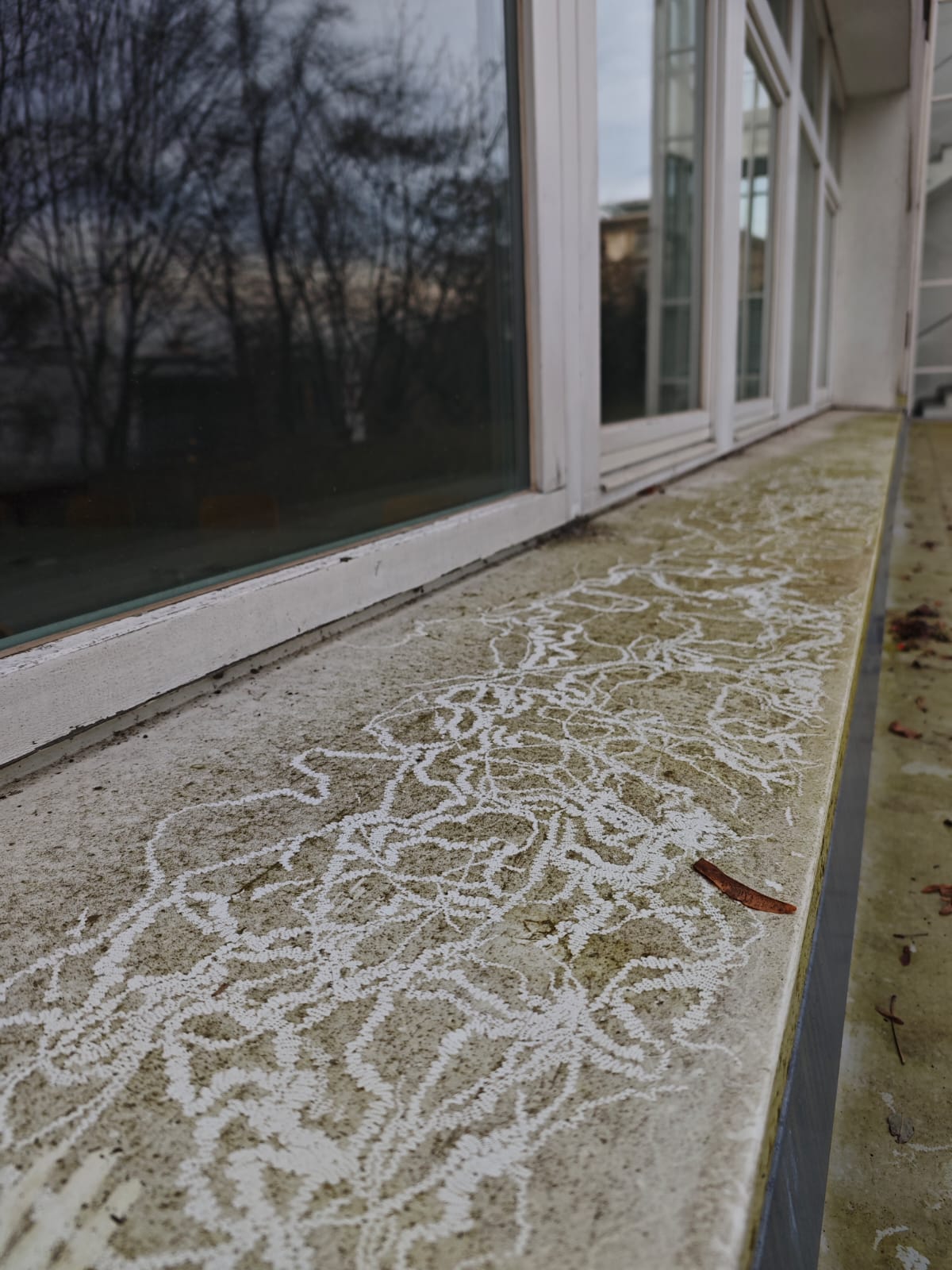 Vorher-Nachher: Fensterbank vor der Reinigung